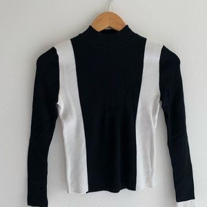 ZARA Turtleneck Sweater